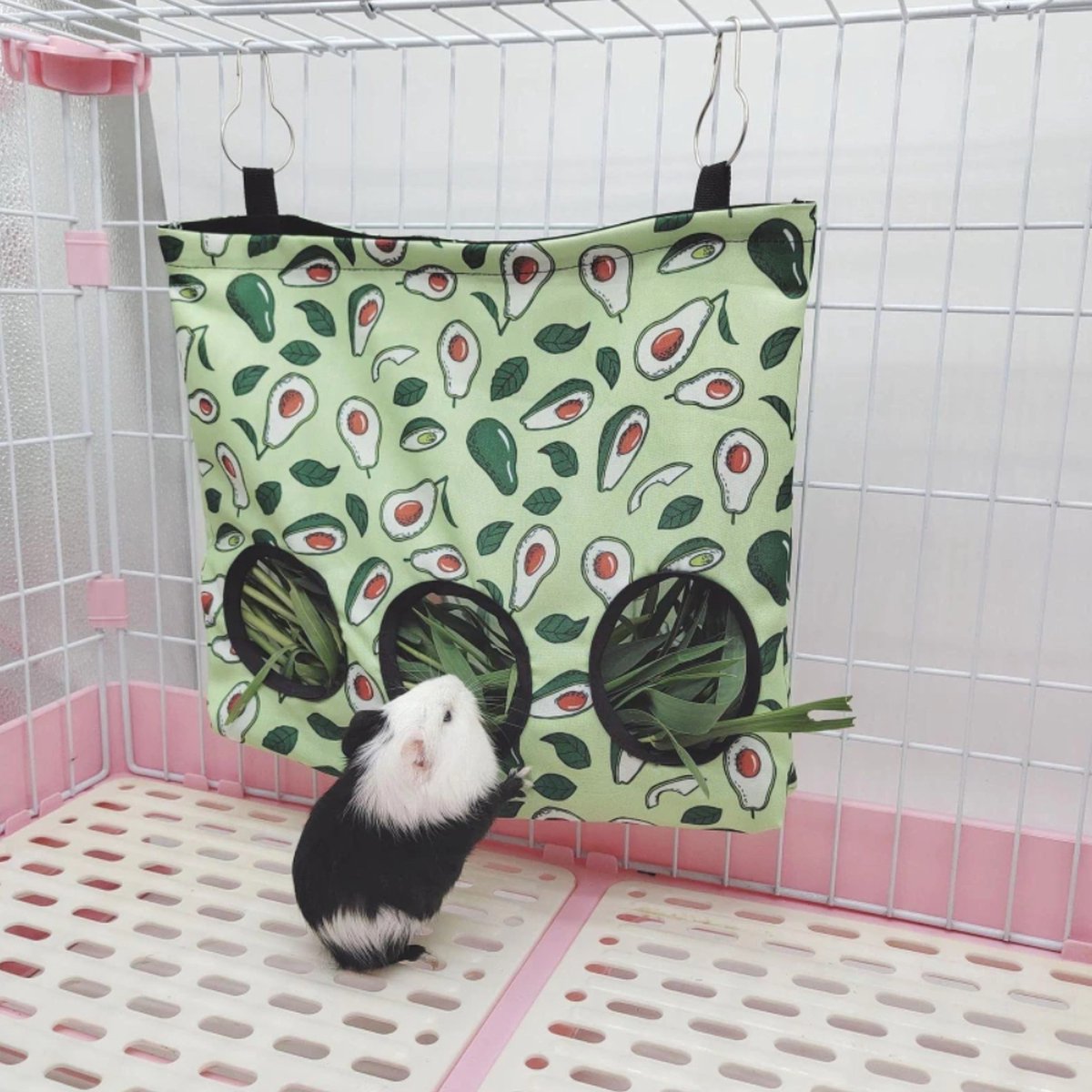 Hooivoeren voor konijn of cavia avocado
