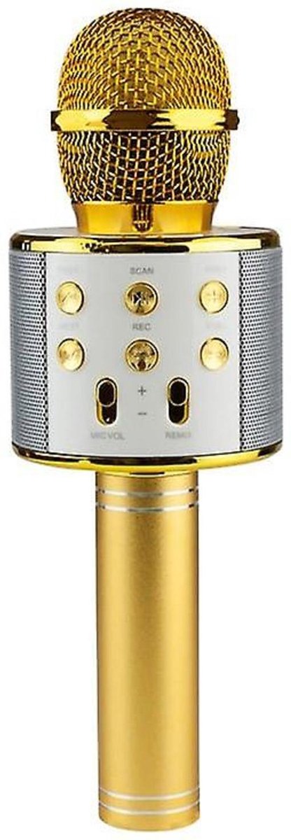 Karaoke microfoon met bluetooth verbinding