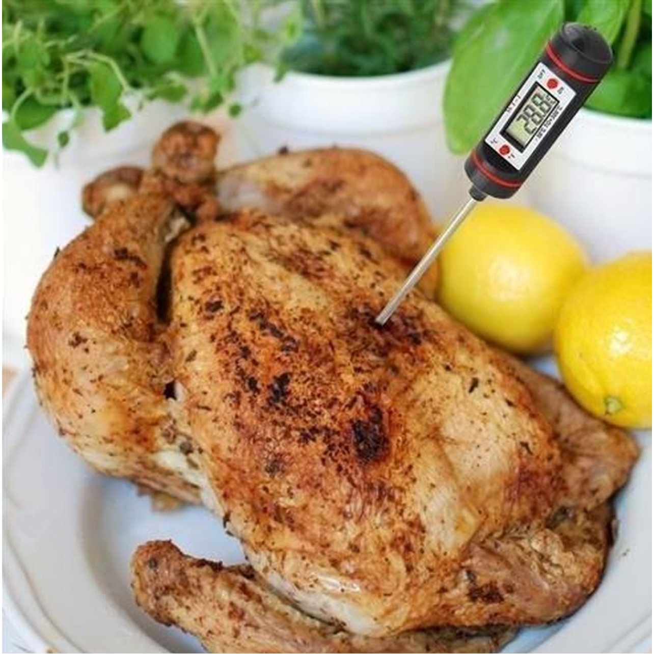 Digitale Vleesthermometer