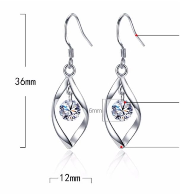 Oorbellen Lang 925 Sterling